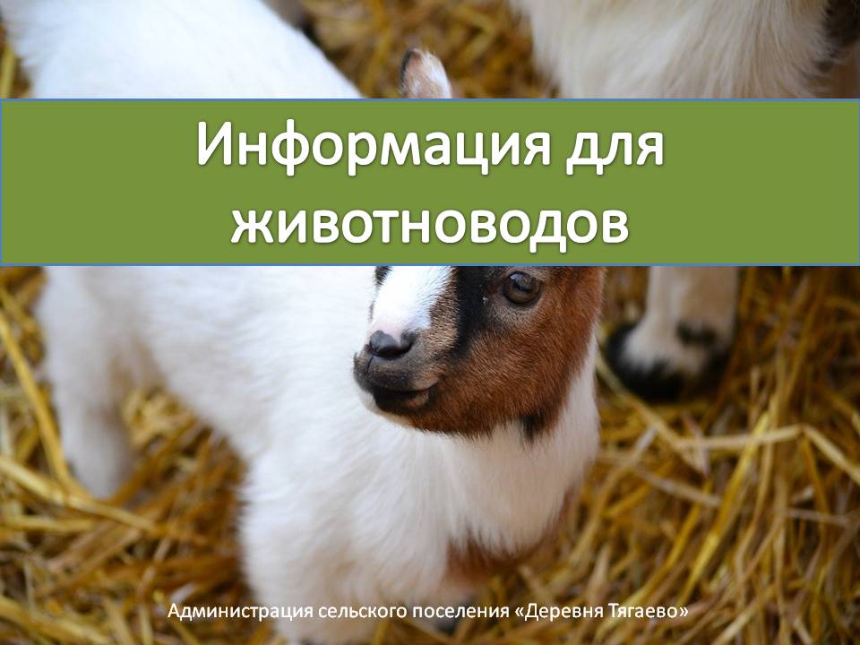 Внимание: информация для животноводов!.