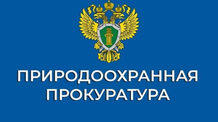 «КоАП РФ дополнен новыми статьями, предусматривающими ответственность за нарушение требований законодательства в области обращения с животными». «КоАП РФ дополнен новыми статьями, предусматривающими ответственность за нарушение требований законодательства в области обращения с животными».