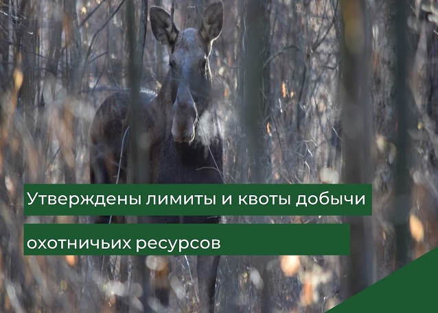 Уведомление о проведении общественных обсуждений объекта экологической экспертизы. Уведомление о проведении общественных обсуждений объекта экологической экспертизы.