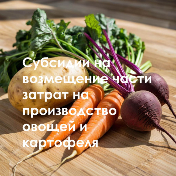 Господдержка. Господдержка.